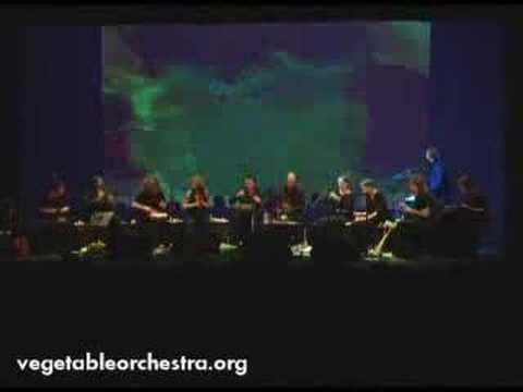 VIDEO: "Orkestar povrća" zasvirao na hrani