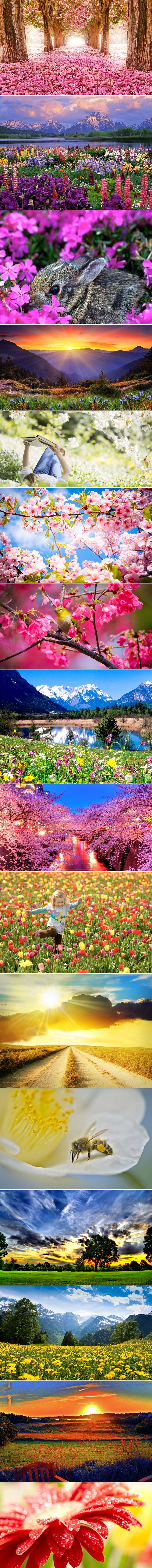 Galerija: Dobro nam došlo, Proljeće!