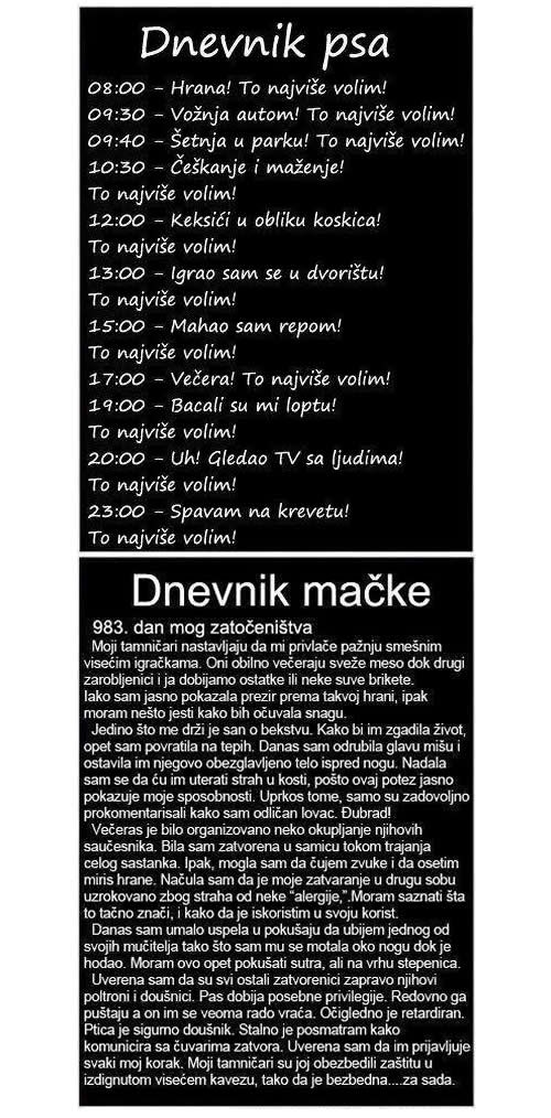 Pronađen tajni dnevnik ubojite mačke