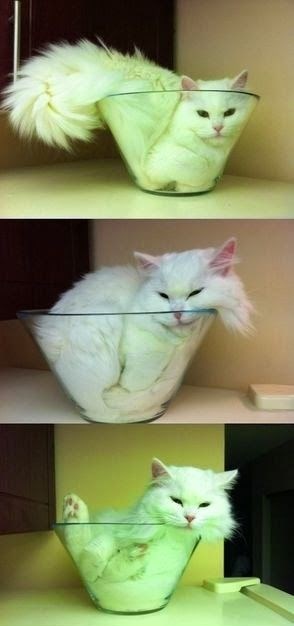 Ma samo da se namjestim...