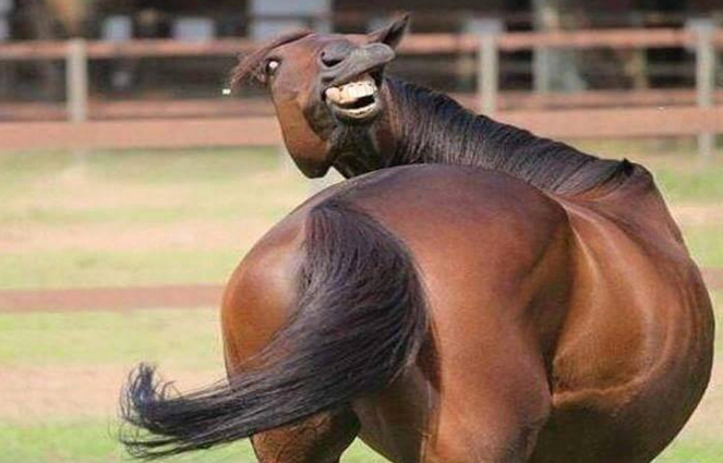 Ono kad žena želi slikati guzicu i lice u isto vrijeme