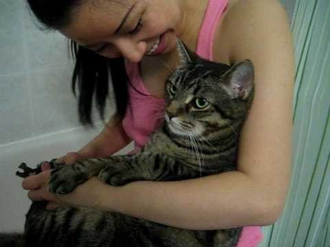 VIDEO: Naučio najvažniju riječ na svijetu - ''ne''