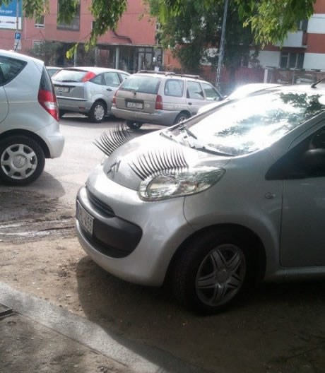 Smak svijeta: Auti odsad dolaze i u "ženskoj" verziji