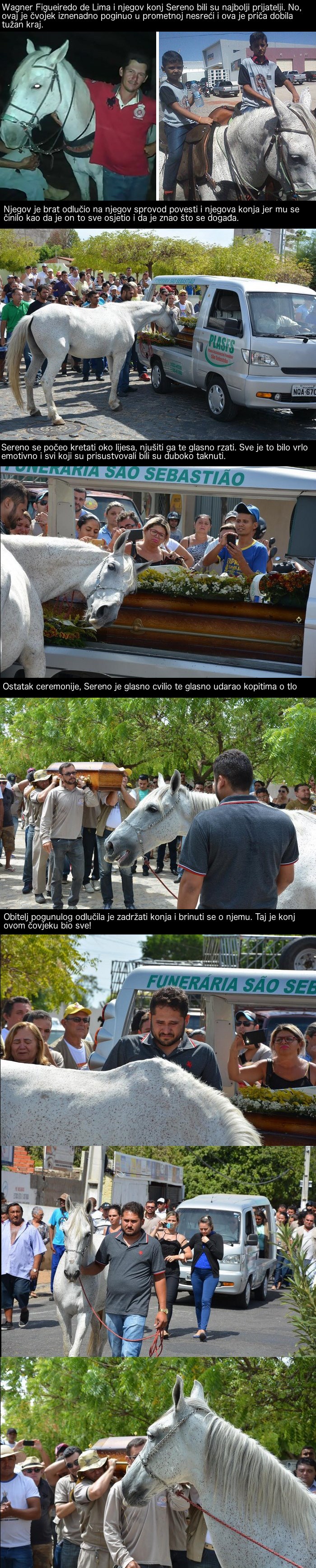 Priča o konju koji je došao odati posljednju počast svom vlasniku slomit će vaša srca