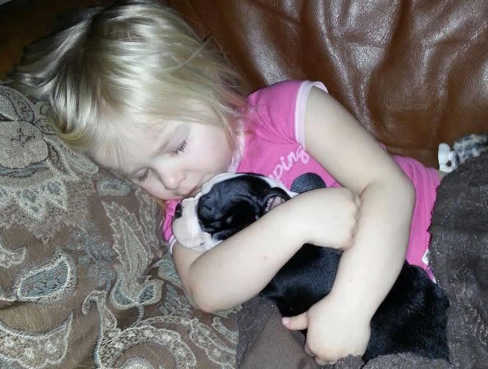 Peso najmirnije sanja u zagrljaju prepunom ljubavi