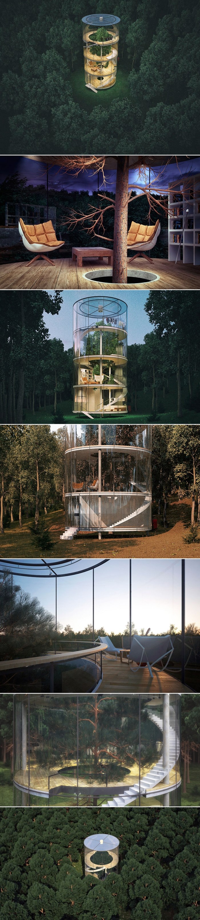 Biste li živjeli u kući izgrađenoj oko stabla?