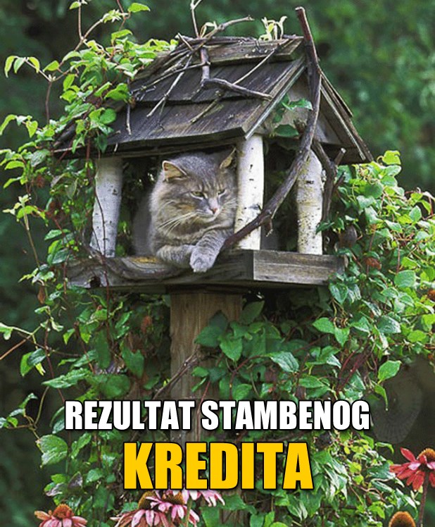 Papala bankarska maca, deložirala i uselila