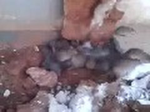 VIDEO: Ispod starog poda pronašao sam pakao