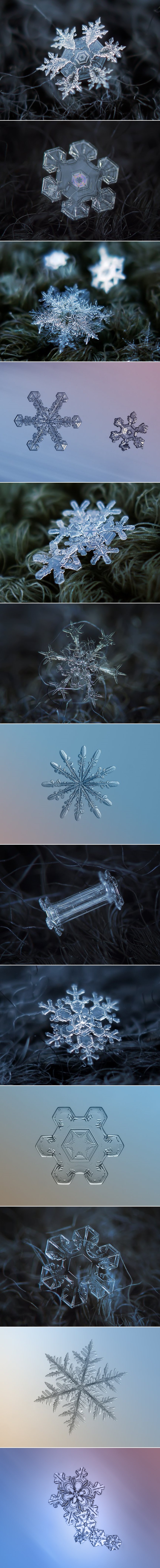 Galerija: Zadivljujuća ljepota snježne pahuljice