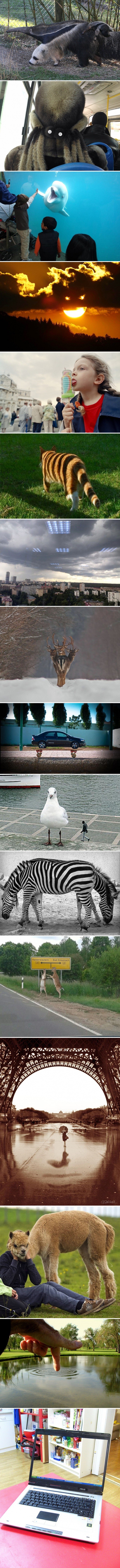 Ovo nisu obične fotke! Kada ih pogledate, shvatit ćete zbog čega se razlikuju od drugih