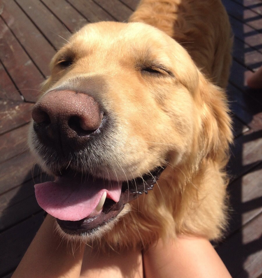 Češkanje je najstvar ikad u galaksiji!