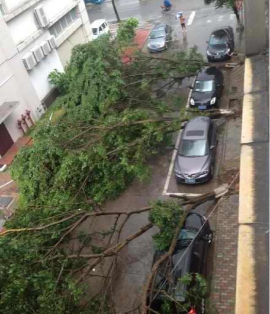 Eto ti na, kad parkiraš van označenog!