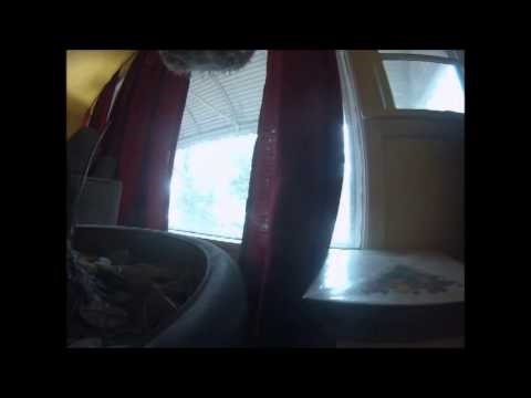 Što psi rade kad odete od kuće