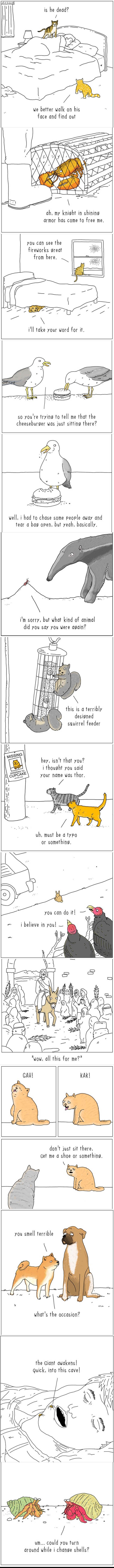 GALERIJA: Kad bismo znali o čemu životinje razmišljaju