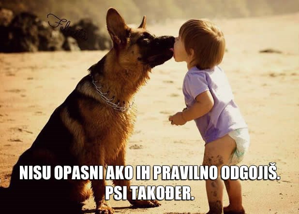 Ako ih pravilno odgojiš, nikog neće ubiti