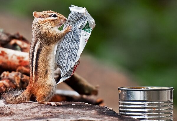Ček, ček, "može sadržavati tragove lješnjaka"?