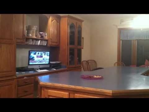 VIDEO: Treba se znati snaći,a ovaj pesek je ekspert