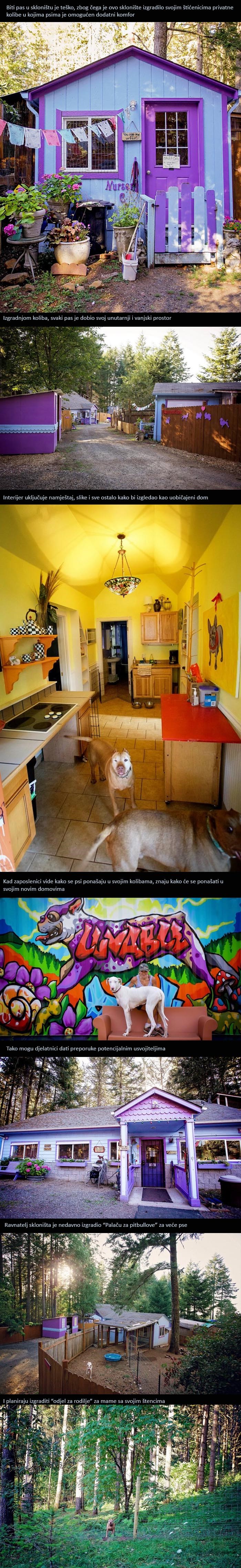 Sklonište za pse iz sna: Privatne kolibe umjesto kaveza