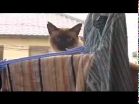 Kako se baciti u radni tjedan: Lekcija za ponedjeljak