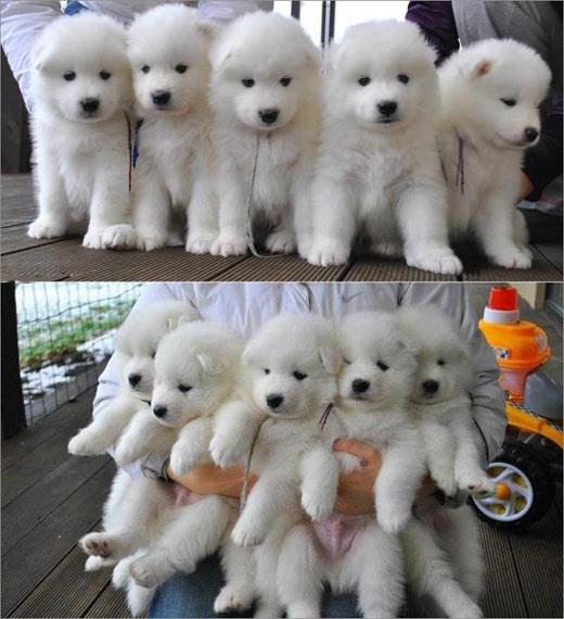 Loš dan? Više nije!