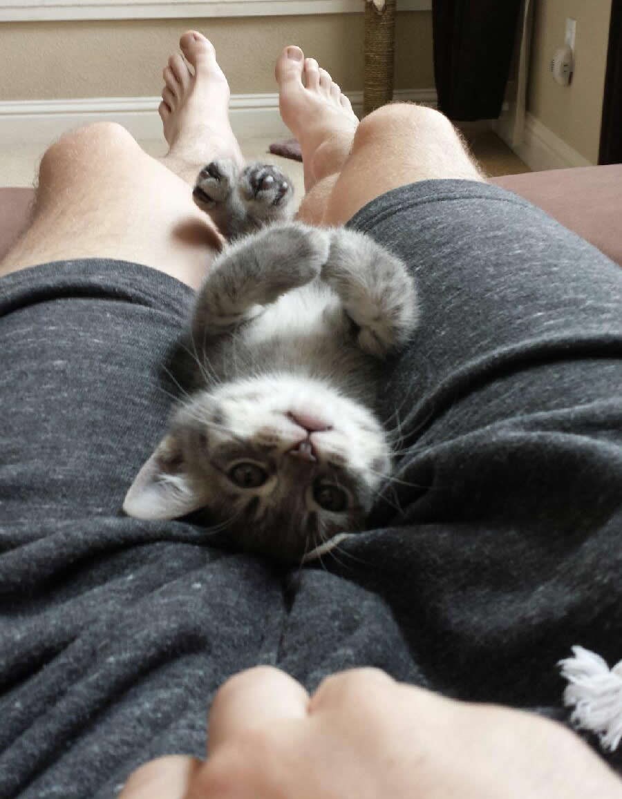 Muškarac s mačkicom među nogama