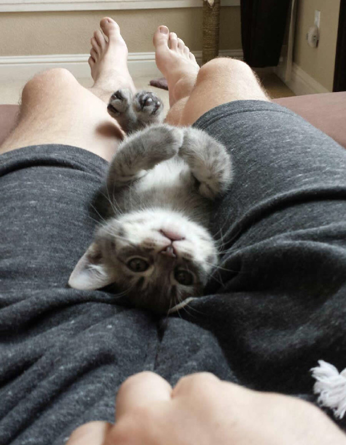 Muškarac s mačkicom među nogama