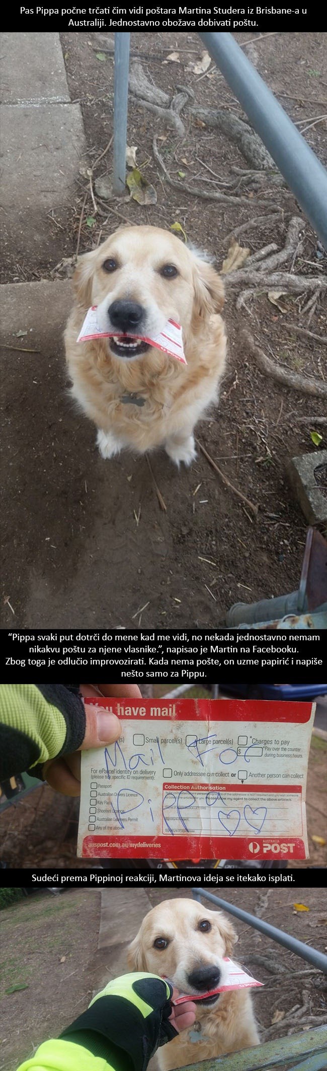 Pas Pippa obožava dobivati poštu, zbog toga je poštar smislio nešto samo za nju