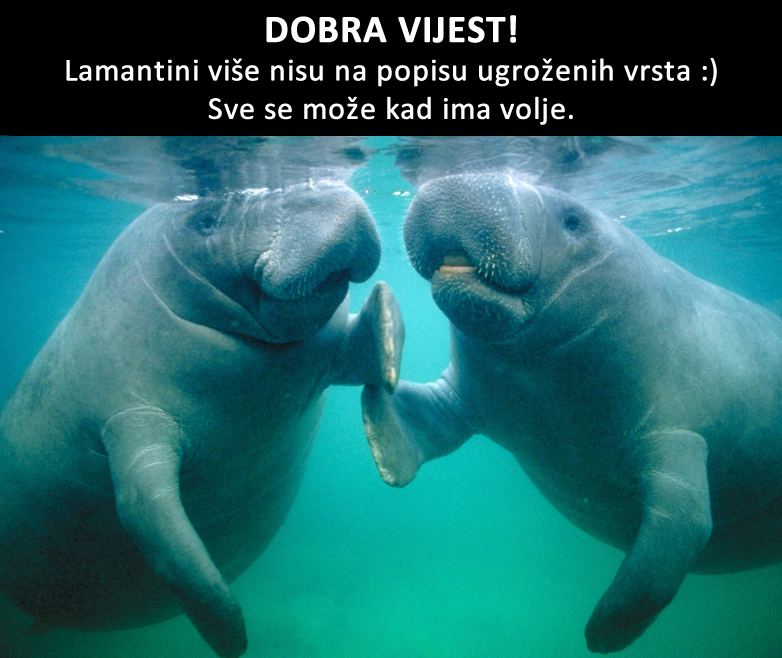 Konačno, jedna je cijela vrsta spašena!