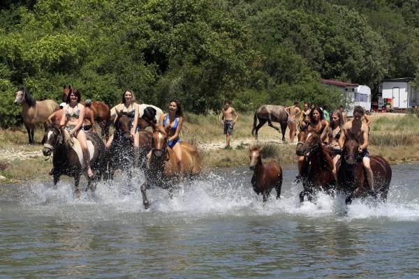 I konji potražili osvježenje od paklenih vrućina