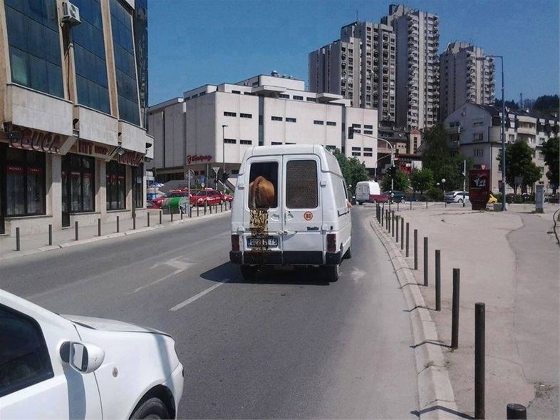 Kad je sila obaviš to bilo gdje