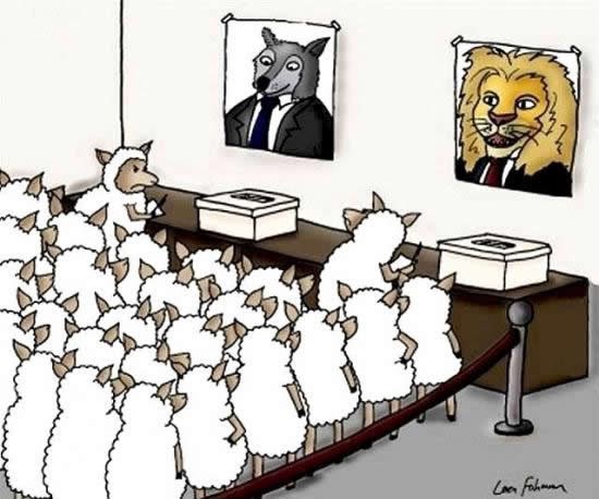 Kako birate za koga ćete glasati?