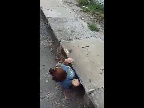 Hodala je ulicom i začula jauke iz kanalizacije, njena reakcija je na ponos ljudskom rodu