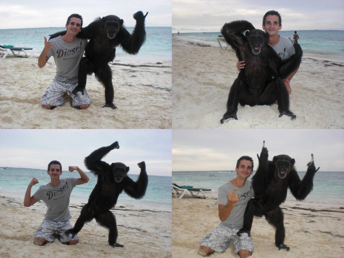 Ma totalno smo isti: Mladić i čimpanza čilaju na plaži