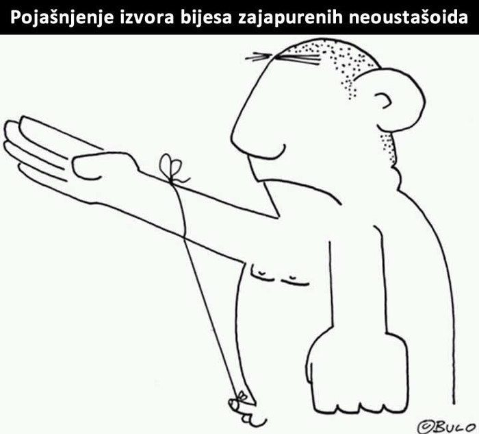 KOJA IRONIJA: Ustaše, a ne diže im se