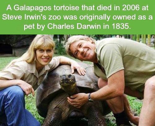 Kornjaču koja je umrla 2006. nabavio je Charles Darwin!