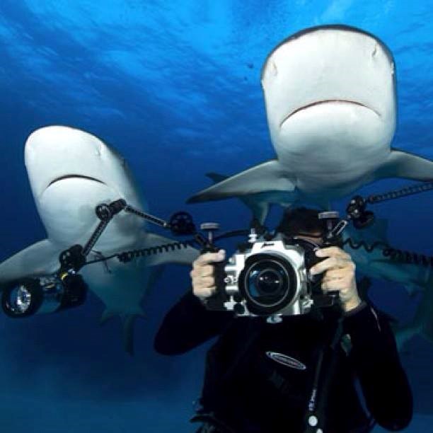 Fotograf, nemoj gledati iza sebe!