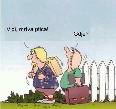 Svi mi imamo svoju omiljenu budalu