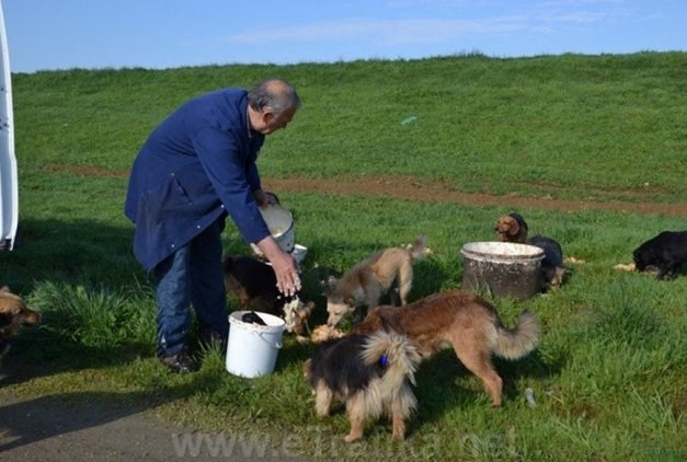 Divljaci iz Gradiške šakama na dobrog čovjeka: Spašava pse, oni ga tuku