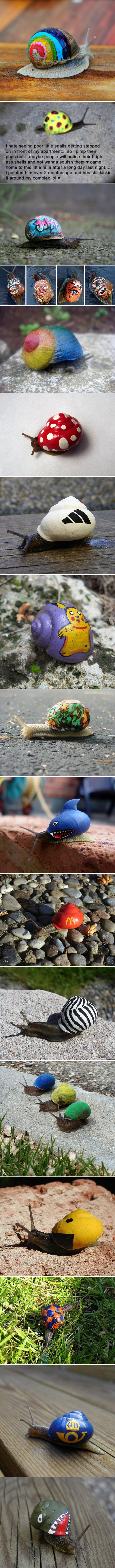 Pimp my puž: Puževima ukrasili kućice da ih se ne nagazi