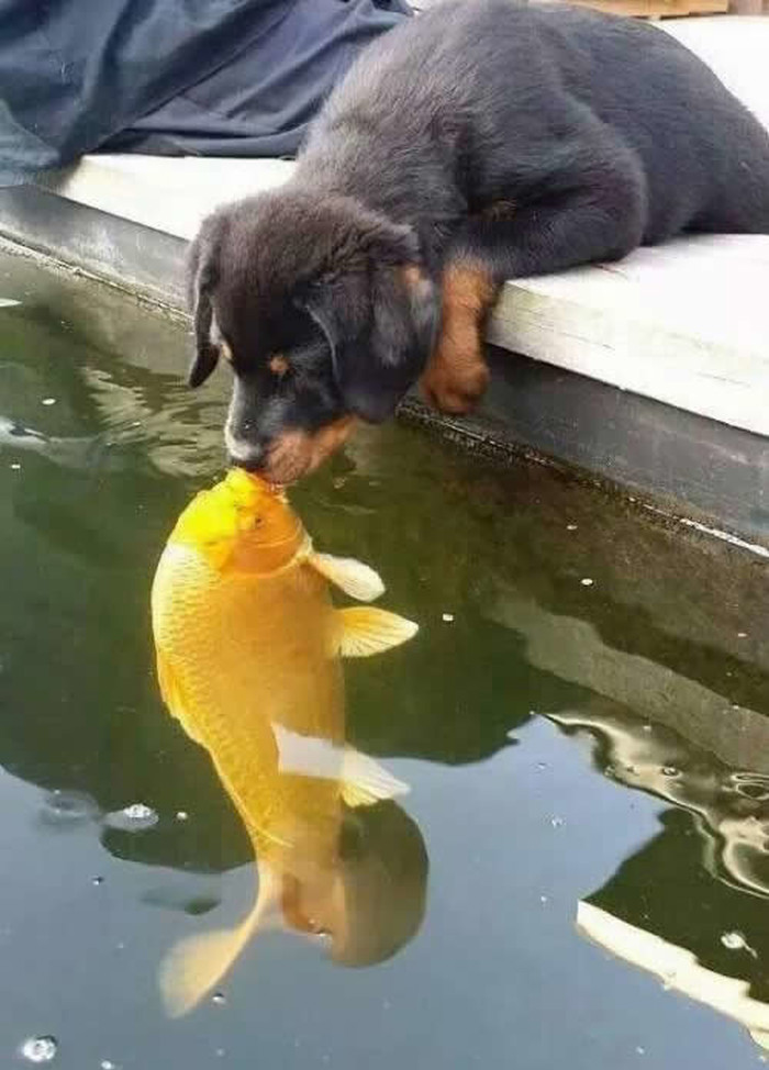 Awww, kakva pusica!