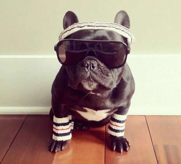 DJ Buldog in da hauz!