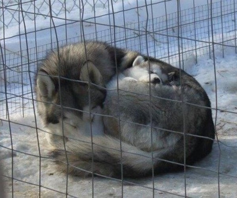 Tata grije svog jedinca