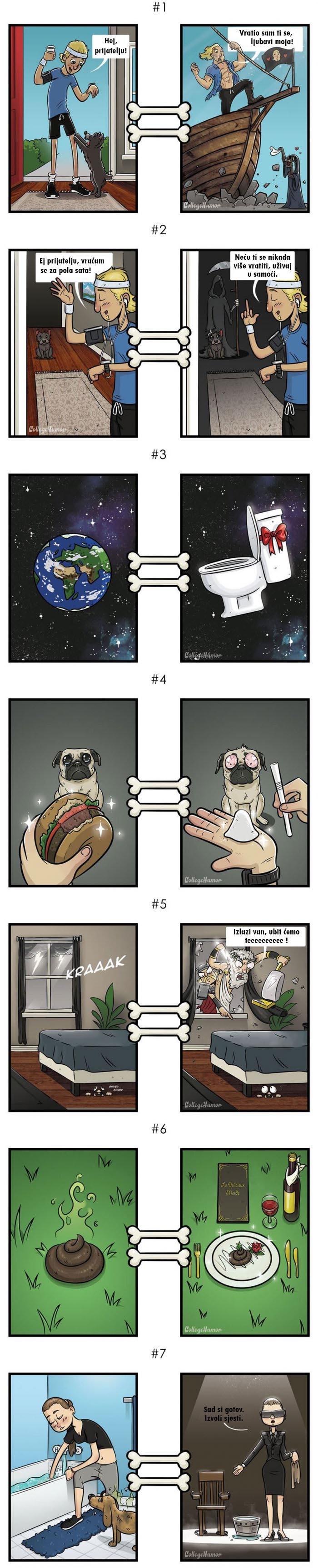 GALERIJA: 7 slika koje prikazuju kako vaš pas doživljava svijet oko sebe