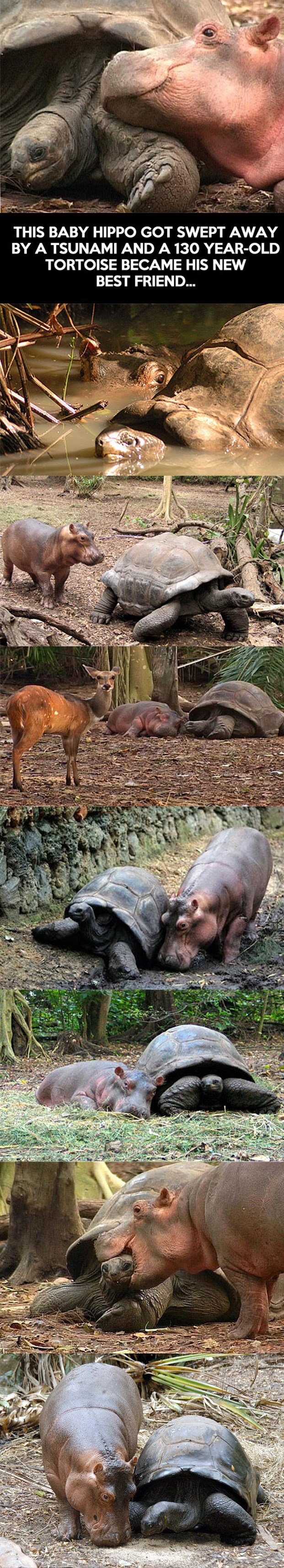 Ljubav je najjača sila na svijetu