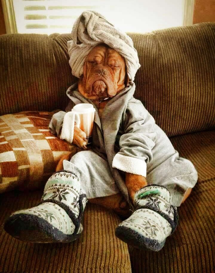 Svaka partijanerica nedjeljom nakon tulumarenja