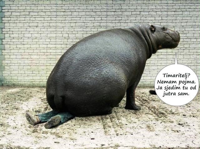 Vodenkonj nevinašce izgubio timaritelja