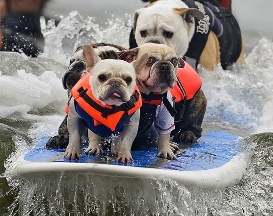 Pogled koji je vrištao "Nabijem te!"