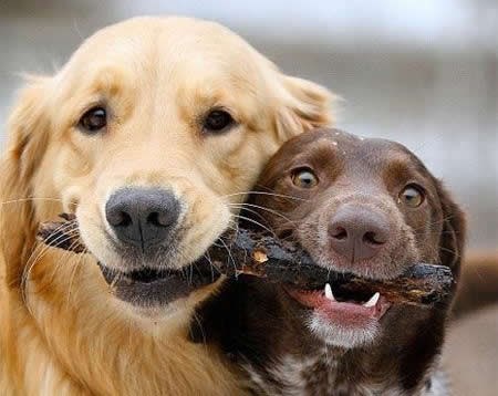 Daj fotkaj više, kasnije ćeš ovog drugog maknut u Photoshopu