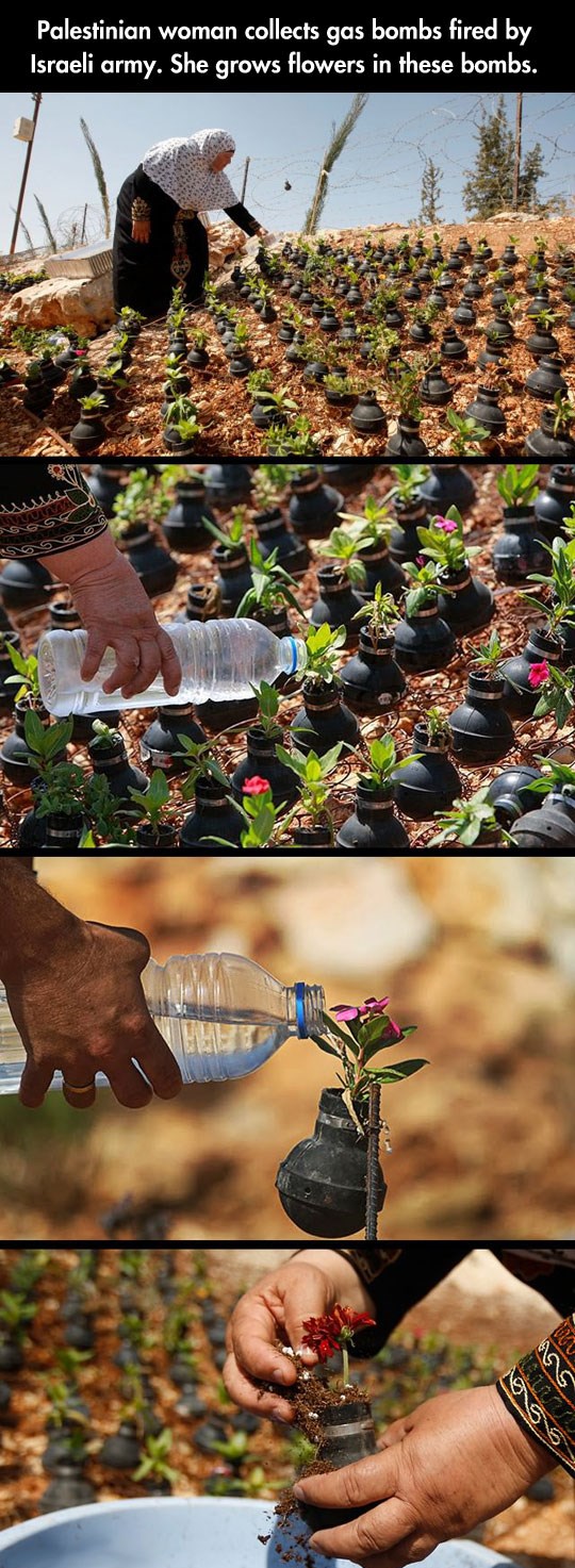 Kad ljepota pobijedi zlo: U bombe sadi - cvijeće