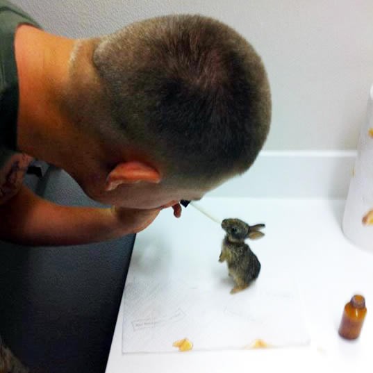 Ovo je pravi muškarac: Pažljivo brinuo za zečeka i spasio ga